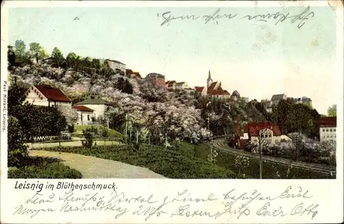 Ak Leisnig in Sachsen, Panorama, Baumblüte