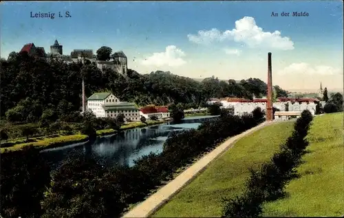 Ak Leisnig in Sachsen, Panorama, Mulde