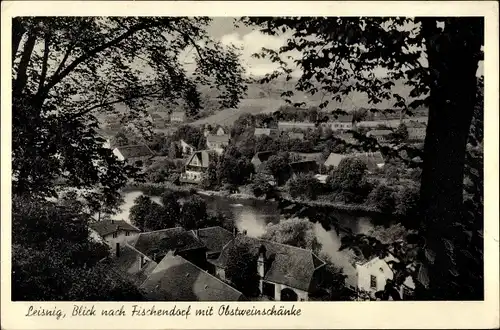 Ak Leisnig in Sachsen, Panorama, Fischendorf, Obstweinschänke
