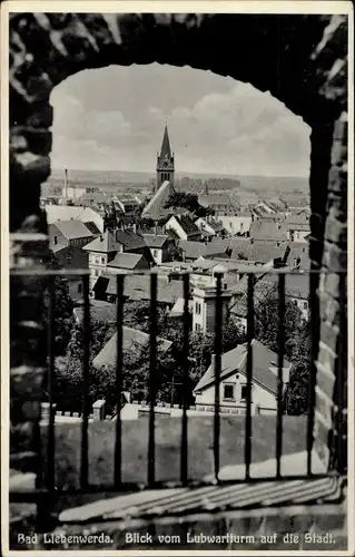 Ak Bad Liebenwerda in Brandenburg, Stadt vom Lubwartturm gesehen