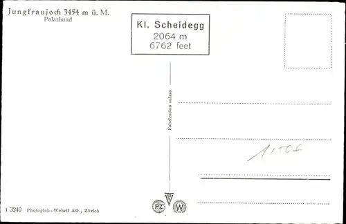 Ak Kanton Bern, Jungfraujoch, Polarhund, Husky