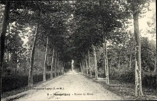 Ak Mesgrigny Aube, Route de Mery