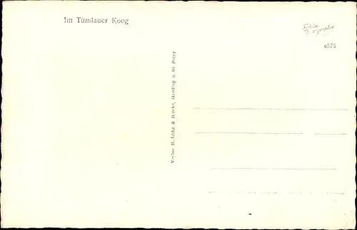 Ak Tümlauer Koog Nordfriesland, Wohnhaus, Reetdach