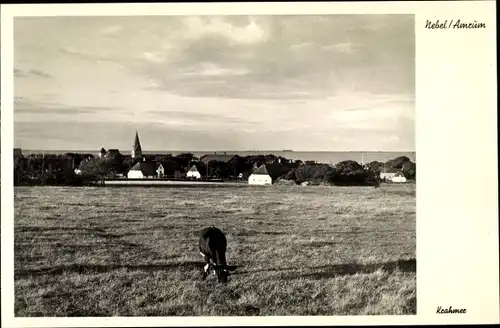 Ak Insel Amrum in Nordfriesland, Panorama