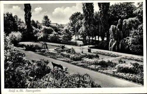 Ak Neuss am Rhein, Rosengarten