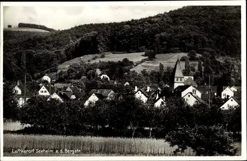 Ak Seeheim Jugenheim an der Bergstraße, Panorama