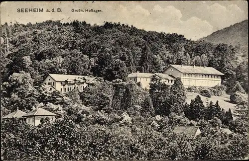 Ak Seeheim Jugenheim an der Bergstraße, Großh. Hoflager