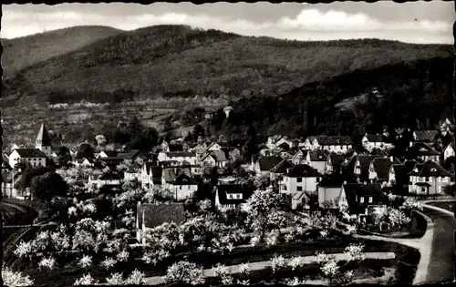 Ak Seeheim Jugenheim an der Bergstraße, Panorama