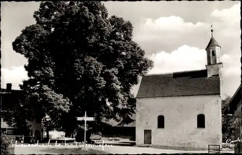 Ak Schöneschach Bad Wörishofen im Unterallgäu, 300 Jahre alte Linde, Kapelle