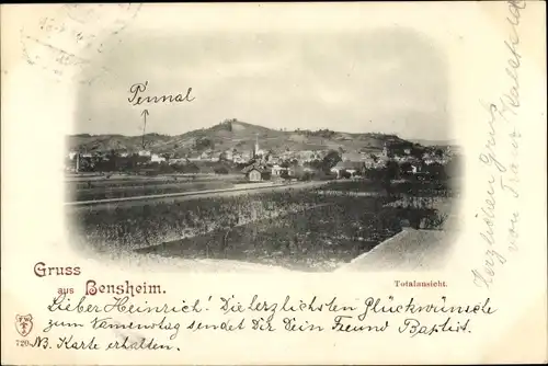 Ak Bensheim an der Bergstraße Hessen, Panorama