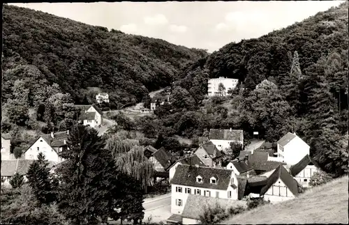 Ak Auerbach Bensheim an der Bergstraße Hessen, Hochstädter Tal