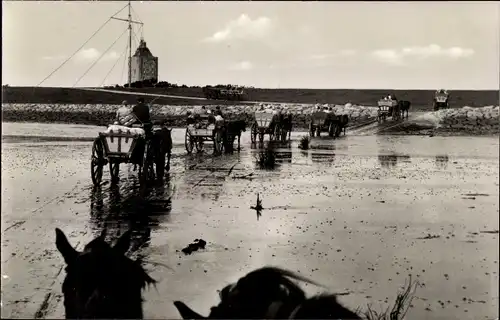 Ak Insel Neuwerk, Ankunft der Wattwagen von Duhnen Cuxhaven, Leuchtturm