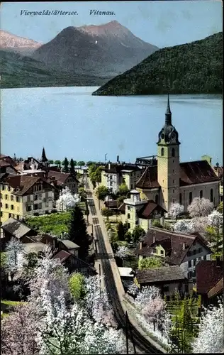Ak Vitznau Kanton Luzern, Vierwaldstättersee