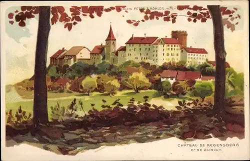 Ak Zürich Stadt Schweiz, Chateau de Regensberg