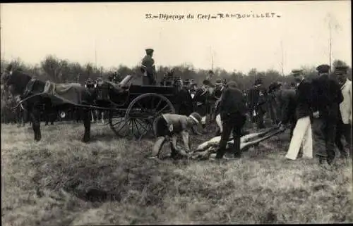 Ak Rambouillet Yvelines, Depecage du Cerf