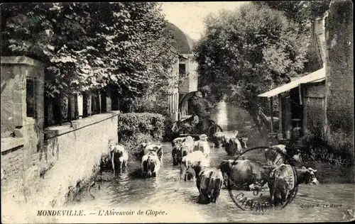 Ak Mondeville Calvados, L'Abreuvoir de Clopee, Rinder