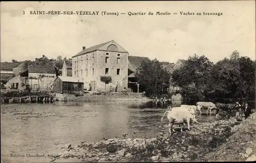 Ak Saint Père sur Vezelay Yonne, Quartier du Moulin, Vaches au breuvage