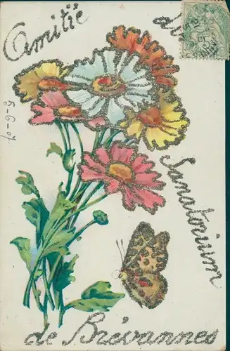 Glitzer Ak Brevannes Val de Marne, Sanatorium, Souvenir, Blumenstrauß, Schmetterling