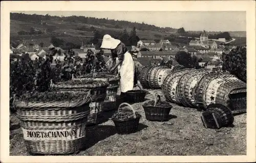 Ak Le Mesnil sur Oger Marne, Scene de vendage, Moet & Chandon, Champagner