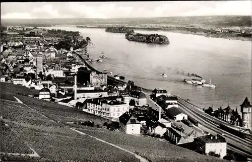 Ak Rüdesheim am Rhein, Gesamtansicht