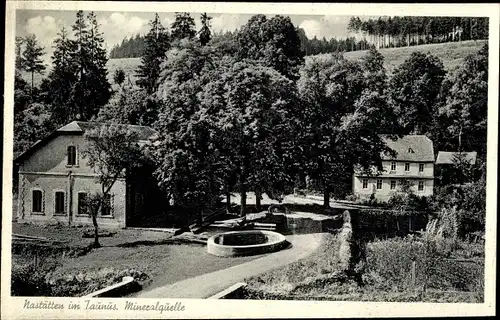 Ak Nastätten im Taunus, Mineralquelle