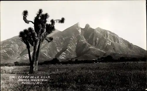 Foto Ak Monterrey Nuevo León Mexiko, Cerro de la Silla, Saddle Mountain