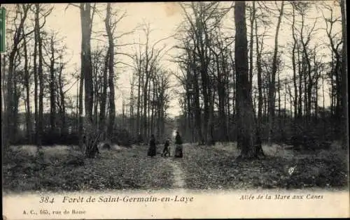 Ak Saint Germain en Laye Yvelines, Allee de la Mare aux Canes