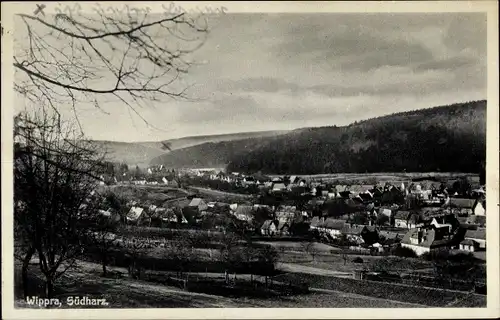 Ak Wippra Sangerhausen am Harz, Totalansicht der Ortschaft