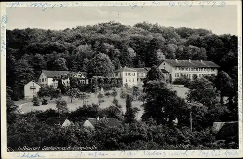 Ak Seeheim Hessen, Blick zum Schloss, Böschung und Obsthain