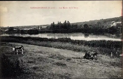 Ak Sandrancourt Yvelines, Les Bords de la Seine