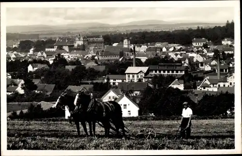 Ak Horšovský Týn Bischofteinitz Region Pilsen, Totalansicht, Bauer mit Pferdeflug