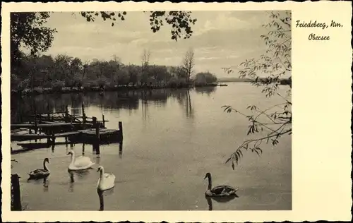 Ak Strzelce Krajenskie Friedeberg in der Neumark Ostbrandenburg, Fischkästen am Obersee, Schwäne