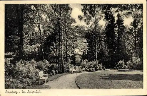 Ak Drawsko Pomorskie Dramburg Pommern, Im Luisenhain