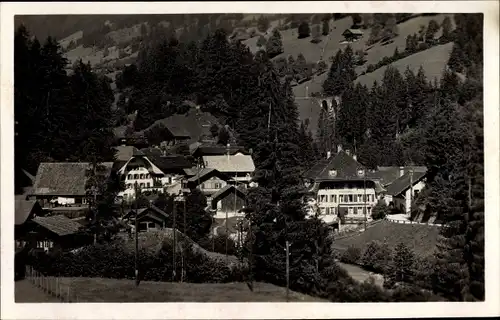 Ak Weissenburg im Simmental Kanton Bern, Teilansicht