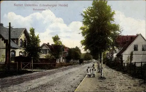Ak Unterlüß Südheide Niedersachsen, Birkenallee