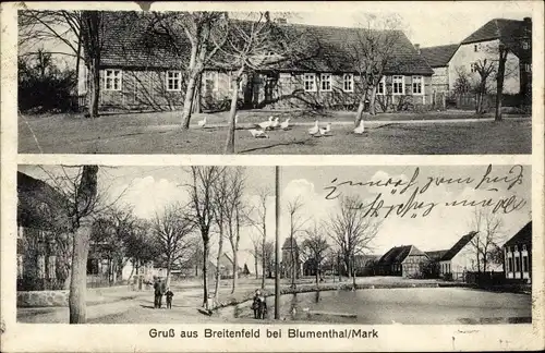 Ak Breitenfeld Gumtow Brandenburg, Gehöft, Platz mit Teich