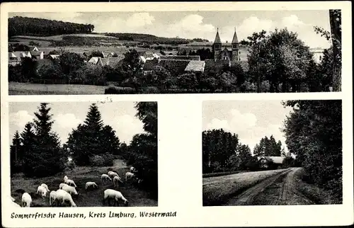 Ak Hausen Waldbrunn i. Westerwald, Waldweg, Kirche