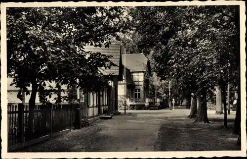 Ak Pritzwalk in der Prignitz, Forsthaus, Hainholz Restaurant