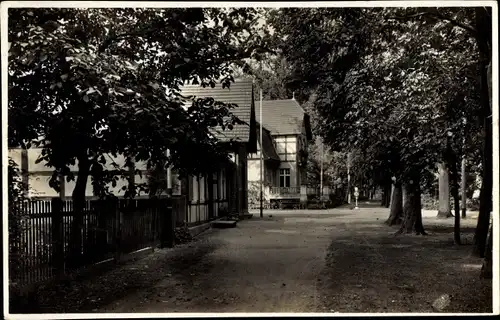 Foto Ak Pritzwalk in der Prignitz, Forsthaus und Hainholz