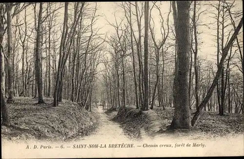 Ak Saint Nom la Bretèche Yvelines, Chemin creux, foret de Marly
