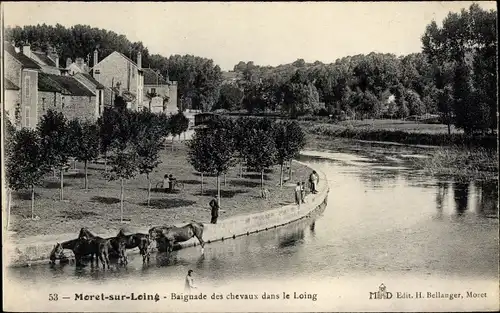 Ak Moret sur Loing Seine et Marne, Baignade des Chevaux dans le Loing