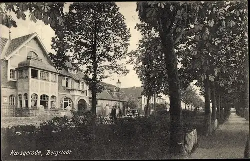 Ak Harzgerode am Harz, Teilansicht der Ortschaft