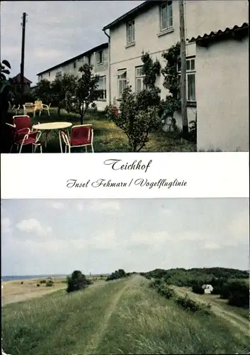 Ak Insel Fehmarn Ostholstein, Gaststätte Teichhof, Vogelfluglinie