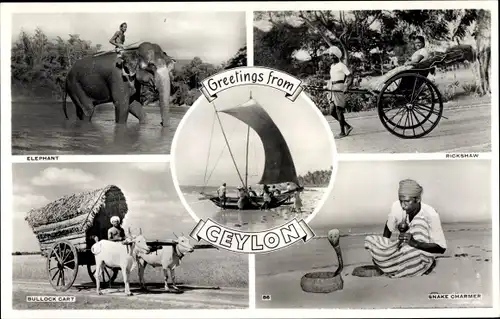 Ak Ceylon Sri Lanka, Schlangenbeschwörer, Rikscha, Bullock Cart, Elefant, Segelschiff
