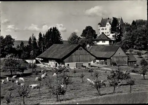 Ak Stettfurt Kanton Thurgau, Schloss Sonnenberg