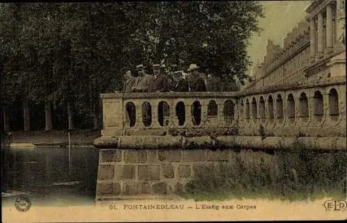 Ak Fontainebleau Seine et Marne, L'Etang aux Carpes