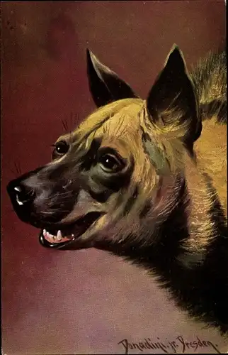 Künstler Ak Donadini, Antonio Ermenegildo, Hyäne, Tierportrait