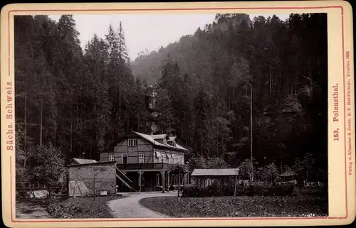 Kabinettfoto Polenztal Neustadt in Sachsen, Waldpartie