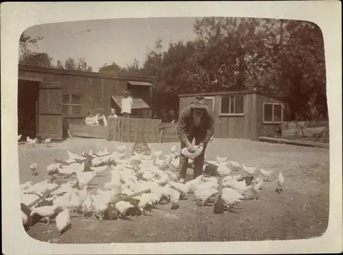 Foto Ak Niederländischer Hühnerbauer beim Füttern der Hühner