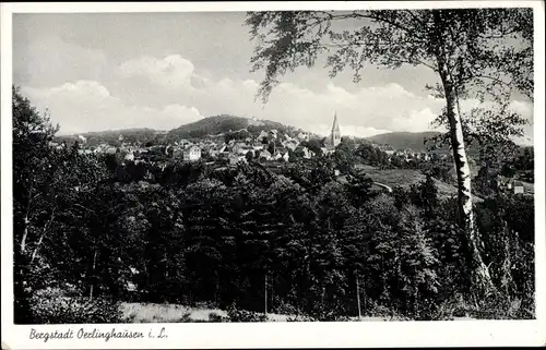 Ak Oerlinghausen in Lippe, Panorama